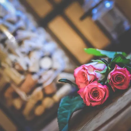 Les Roses De 3*