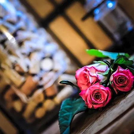 Les Roses De Bed and breakfast Montherlant