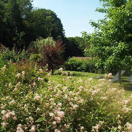 Les Roses De 3* Montherlant