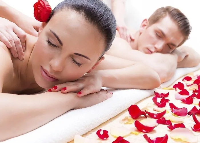 Les Roses De 3* Montherlant