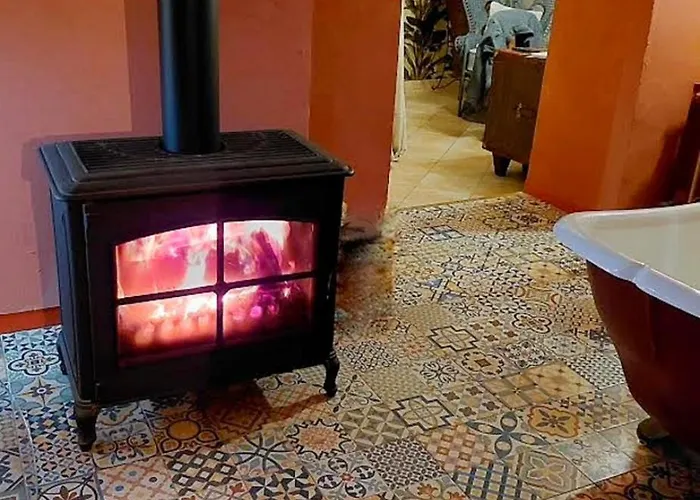 Les Roses De Montherlant