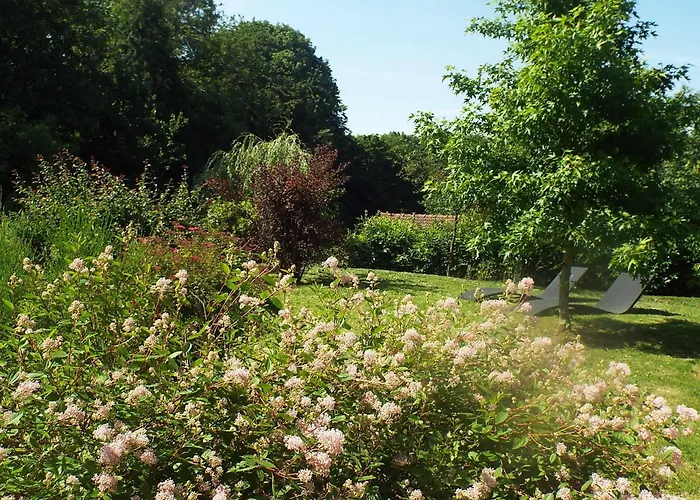 Les Roses De 3* Montherlant